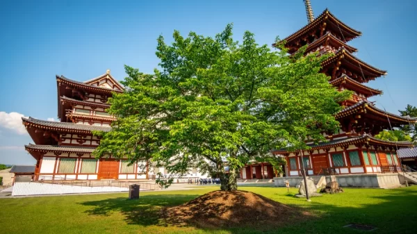 Yakushi ji Temple: Vẻ đẹp bình yên giữa lòng cố đô Nara