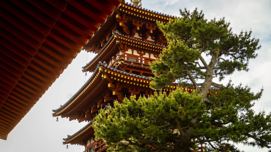 Yakushi ji Temple: Vẻ đẹp bình yên giữa lòng cố đô Nara