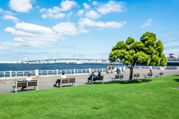 Công Viên Yamashita (Yamashita Park) ở Yokohama Nhật Bản