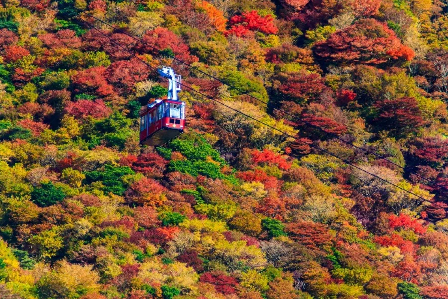 Gifu Castle - Tòa lâu đài cổ kính, biểu tượng của tỉnh Gifu