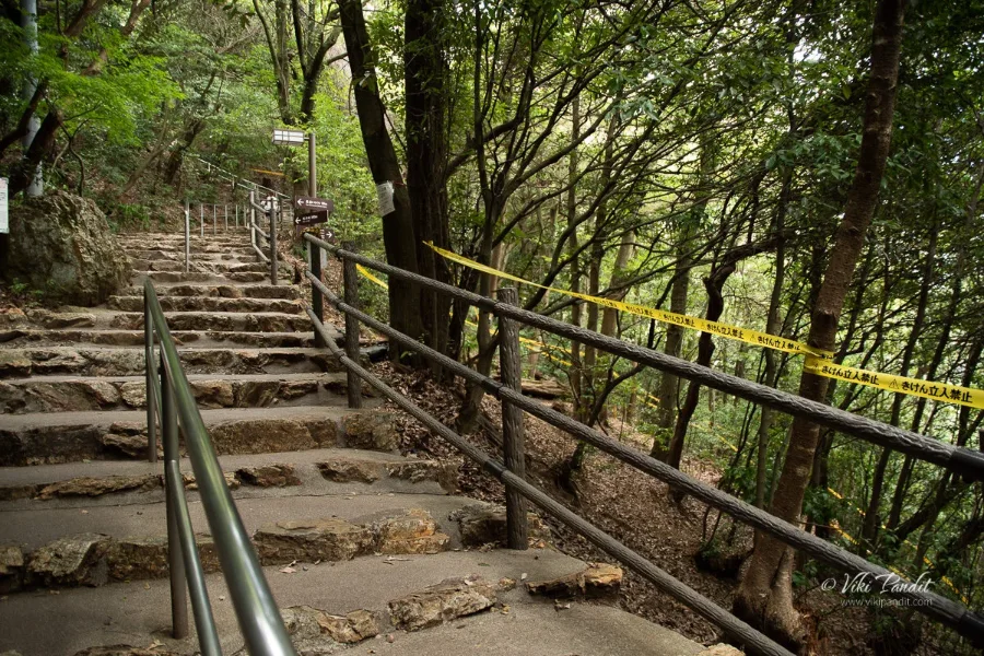 Gifu Castle - Tòa lâu đài cổ kính, biểu tượng của tỉnh Gifu