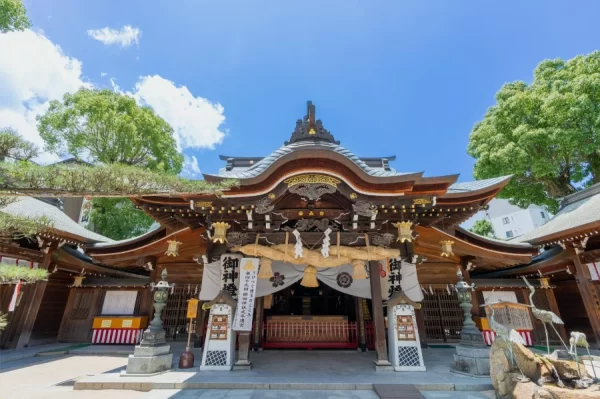 Top 7 địa điểm ngắm hoa từ đằng ở Fukuoka Nhật Bản Kushida shrine | Hakata Ward