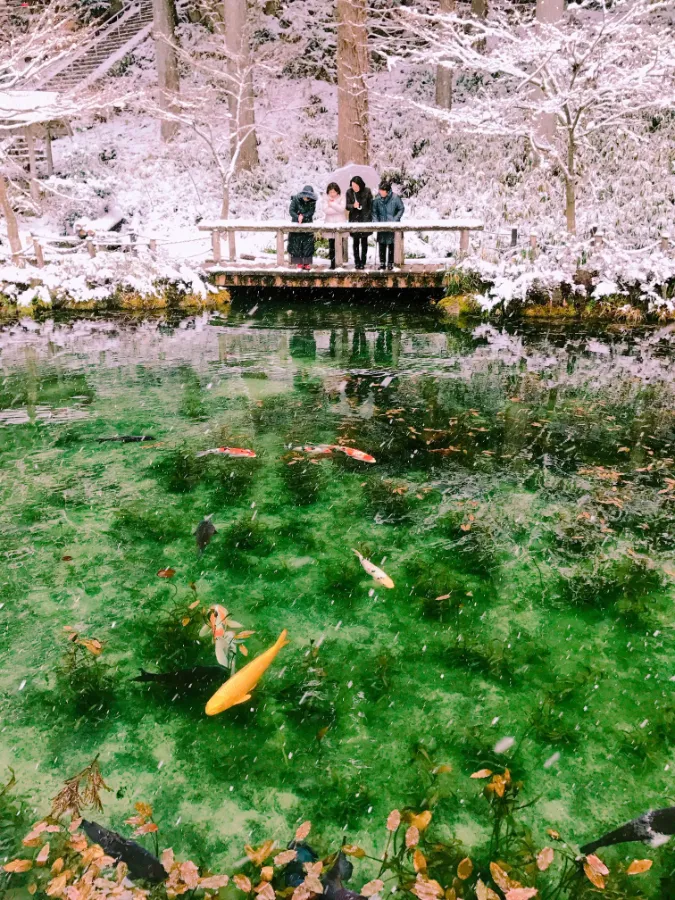 Monet's Pond - Tuyệt Tác giữa Thiên Nhiên Đầy Màu Sắc