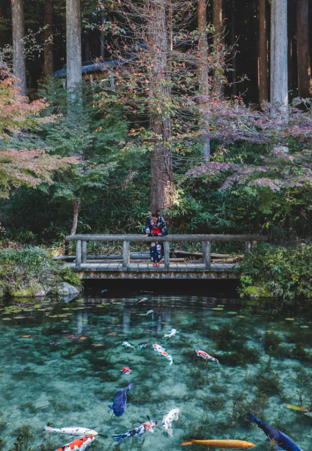 Monet's Pond - Tuyệt Tác giữa Thiên Nhiên Đầy Màu Sắc