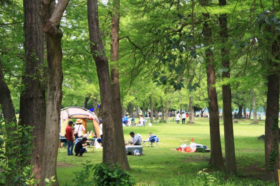 Akigase Park | Công viên ở Saitama, Nhật Bản