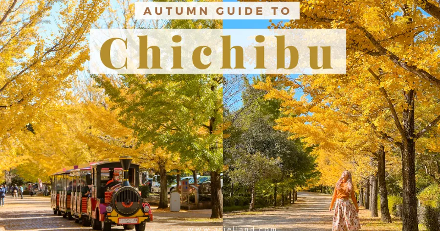 Chichibu Muse Park | Công viên ở Saitama, Nhật Bản