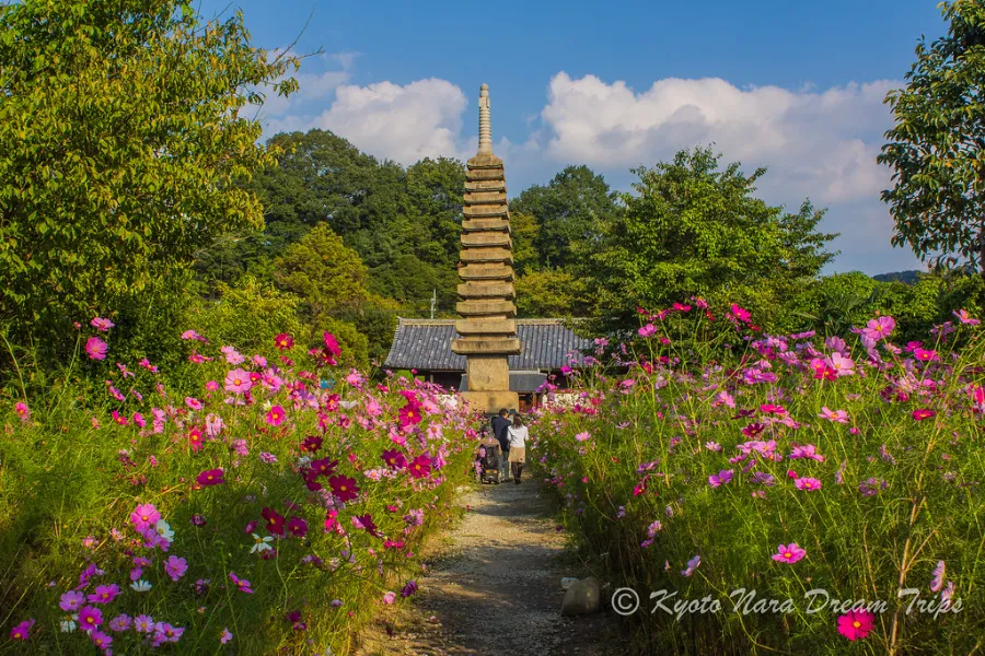 Hannya-ji Temple | Đền chùa ở Nara Nhật Bản