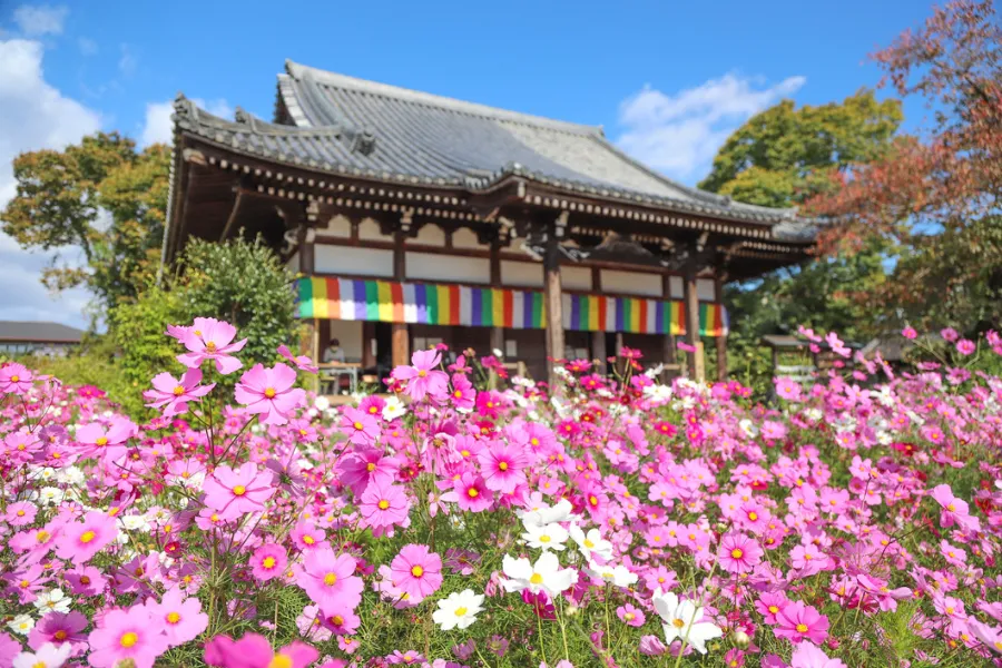 Hannya-ji Temple | Đền chùa ở Nara Nhật Bản