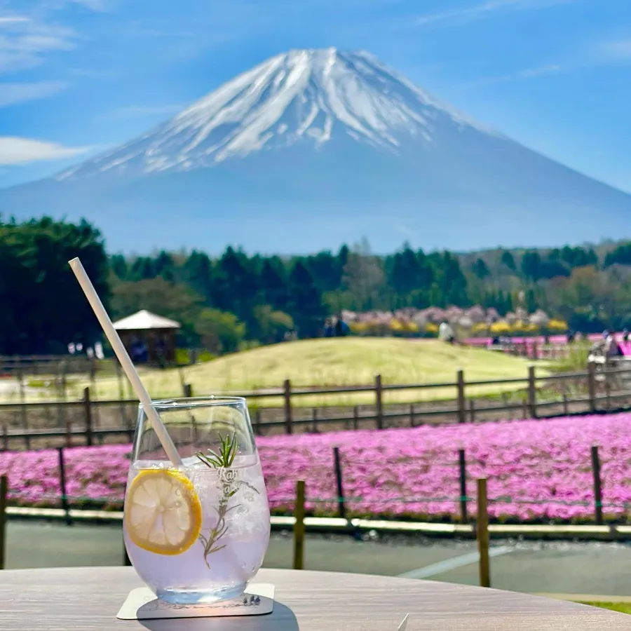 Hitsujiyama Park: Thiên đường hoa Shibazakura giữa lòng Chichibu