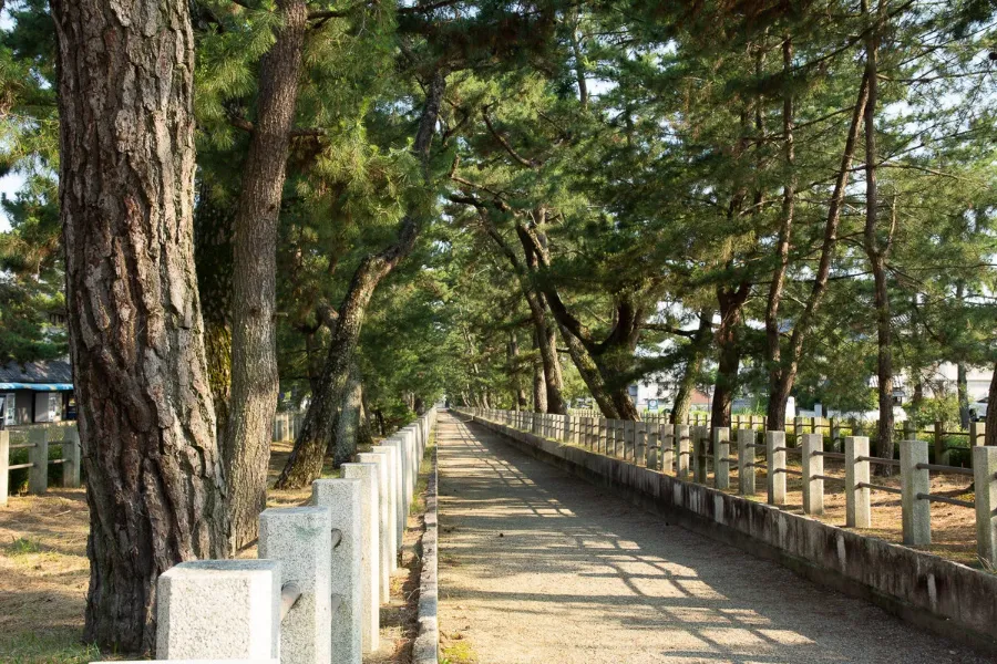 Horyuji Temple: Kho tàng nghệ thuật Phật giáo ở cố đô Nara