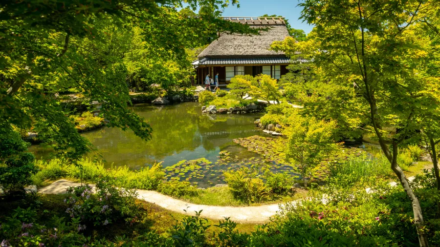 Isuien Garden and Neiraku Museum: Vẻ đẹp thiên nhiên ở Nara