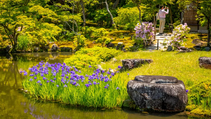 Isuien Garden and Neiraku Museum: Vẻ đẹp thiên nhiên ở Nara