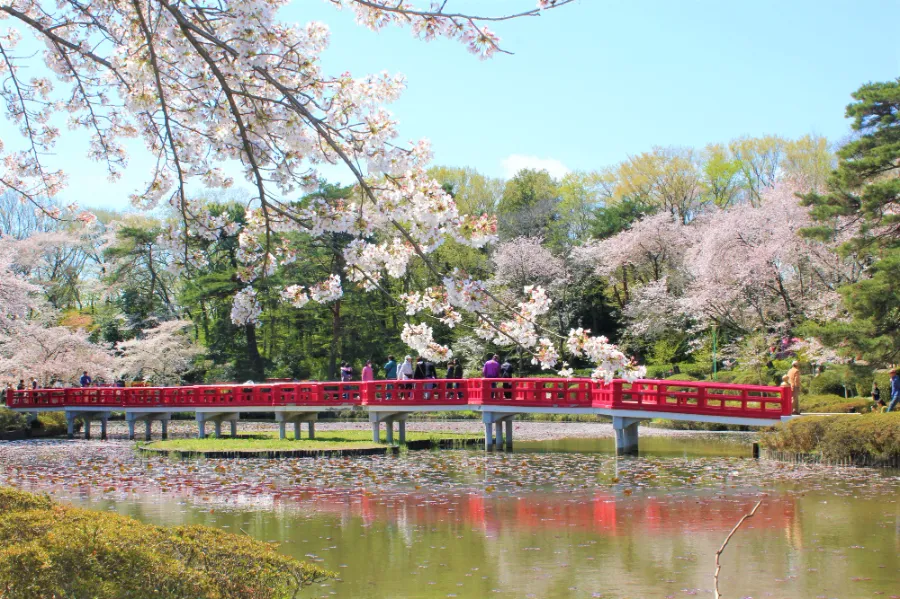 Iwatsuki Castle Ruins | Đền chùa ở Saitama, Nhật Bản