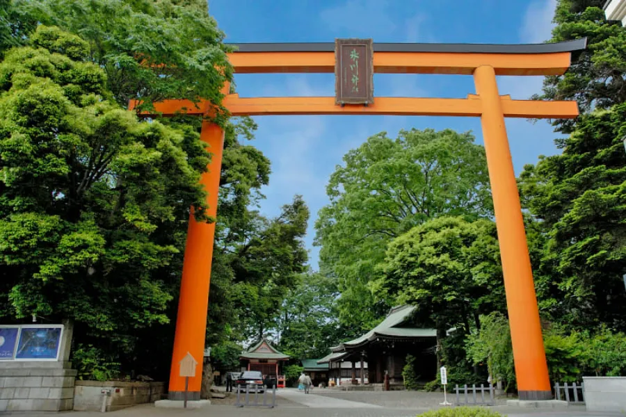 Kawagoe Hikawa Shrine: Vẻ đẹp cổ kính, thanh bình