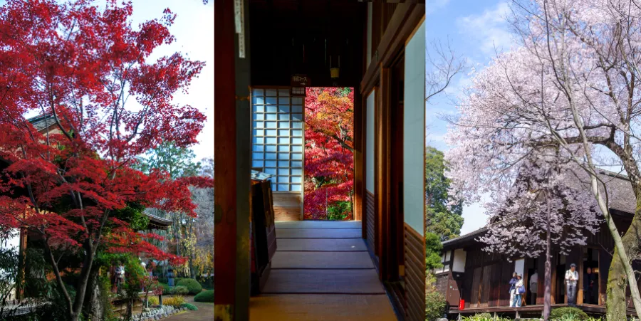 Kawagoe Kitain Temple: Chốn Bình Yên Giữa Lòng "Tiểu Edo"