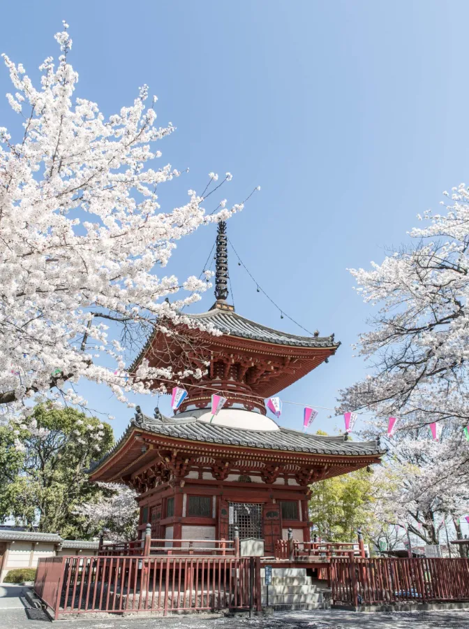 Kawagoe Kitain Temple: Chốn Bình Yên Giữa Lòng "Tiểu Edo"