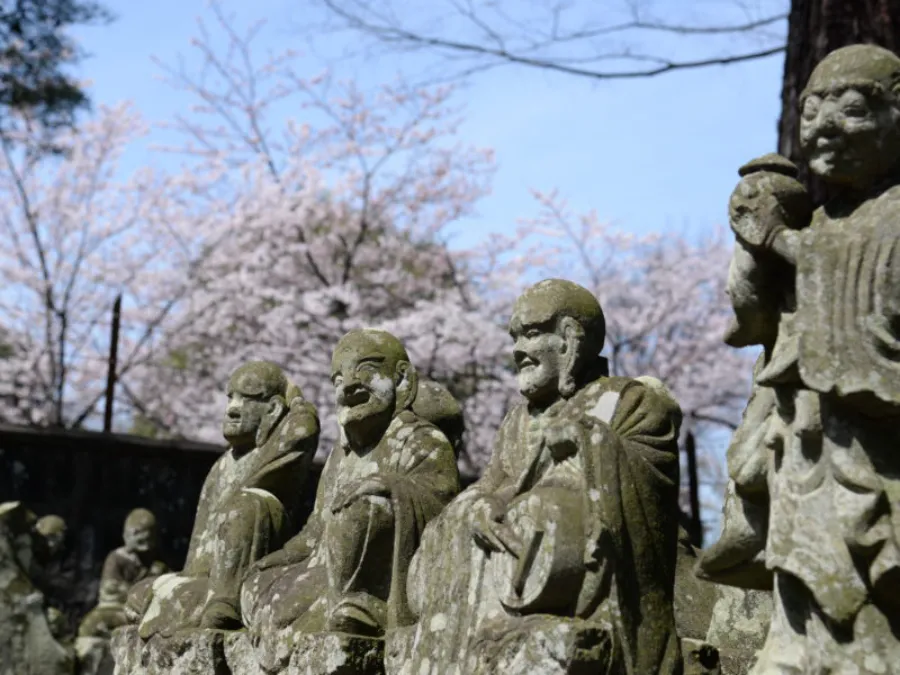 Kawagoe Kitain Temple: Chốn Bình Yên Giữa Lòng "Tiểu Edo"