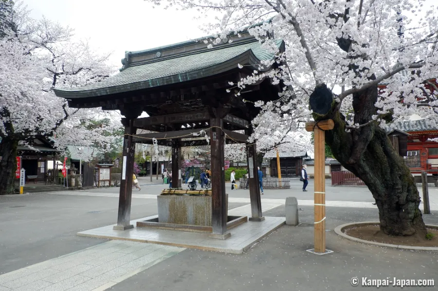 Kawagoe Kitain Temple: Chốn Bình Yên Giữa Lòng "Tiểu Edo"