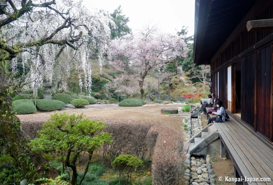 Kawagoe Kitain Temple: Chốn Bình Yên Giữa Lòng "Tiểu Edo"