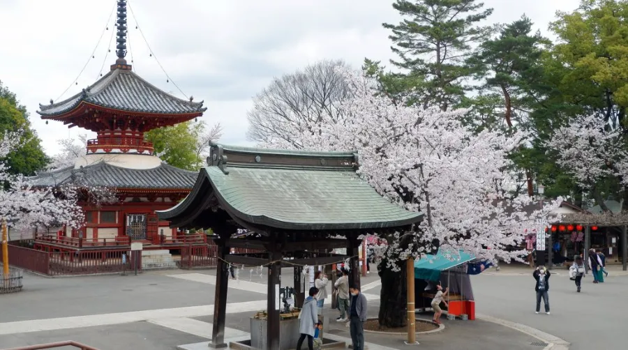 Kawagoe Kitain Temple: Chốn Bình Yên Giữa Lòng "Tiểu Edo"