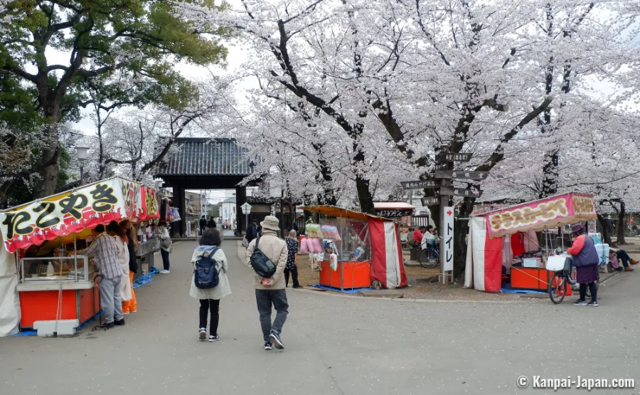 Kawagoe Kitain Temple: Chốn Bình Yên Giữa Lòng "Tiểu Edo"