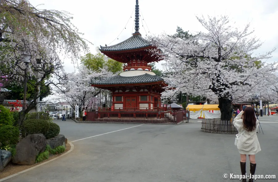 Kawagoe Kitain Temple: Chốn Bình Yên Giữa Lòng "Tiểu Edo"