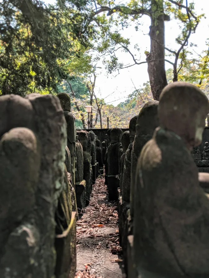 Kawagoe Kitain Temple: Chốn Bình Yên Giữa Lòng "Tiểu Edo"