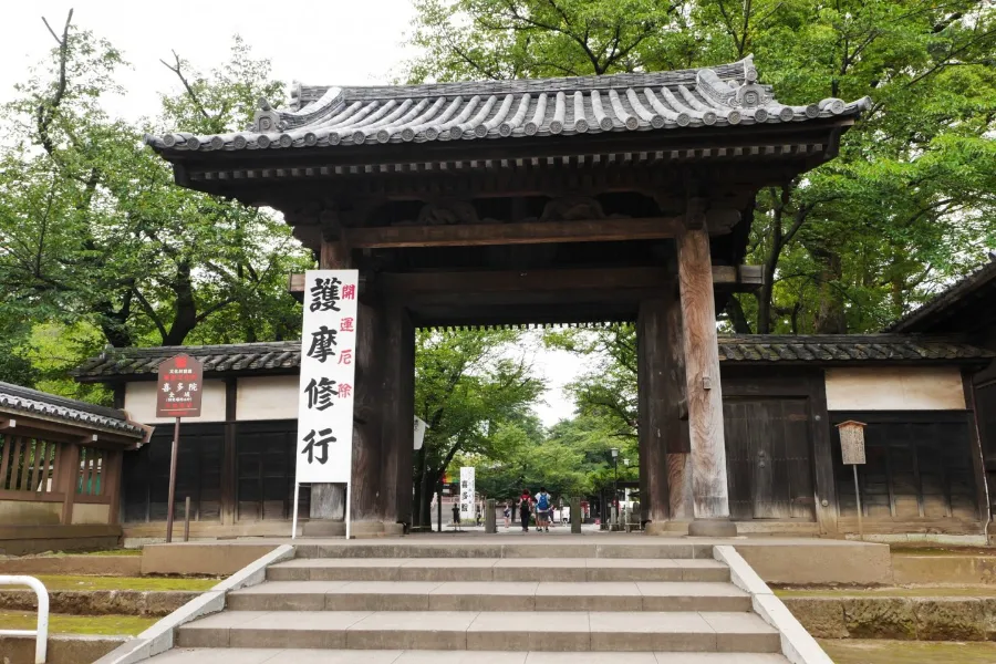 Kawagoe Kitain Temple: Chốn Bình Yên Giữa Lòng "Tiểu Edo"