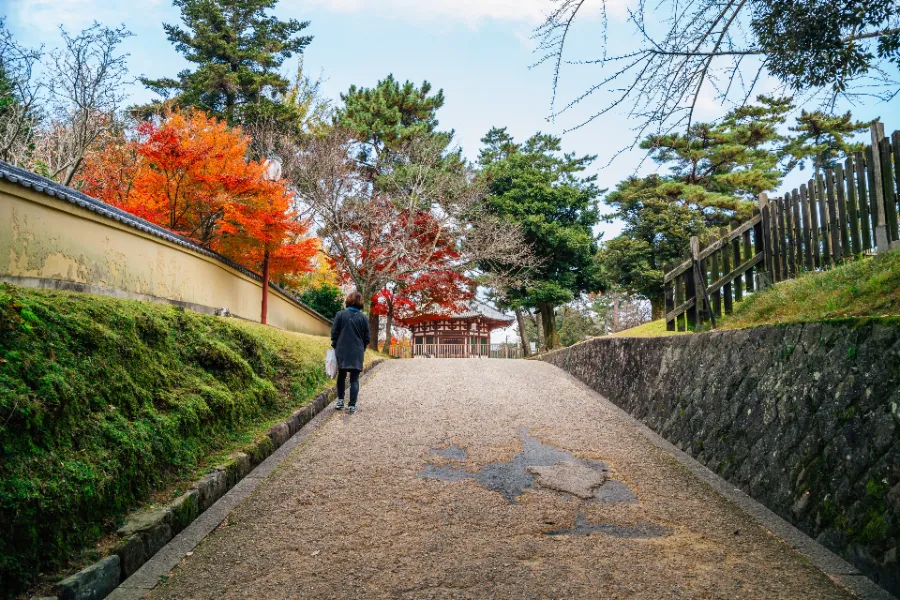 Kofuku Ji Temple: Vẻ đẹp ngàn năm giữa lòng Nara cổ kính