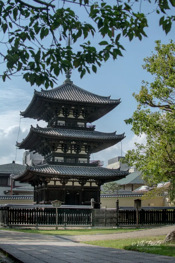 Kofuku Ji Temple: Vẻ đẹp ngàn năm giữa lòng Nara cổ kính