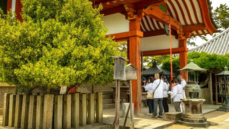 Kofuku Ji Temple: Vẻ đẹp ngàn năm giữa lòng Nara cổ kính