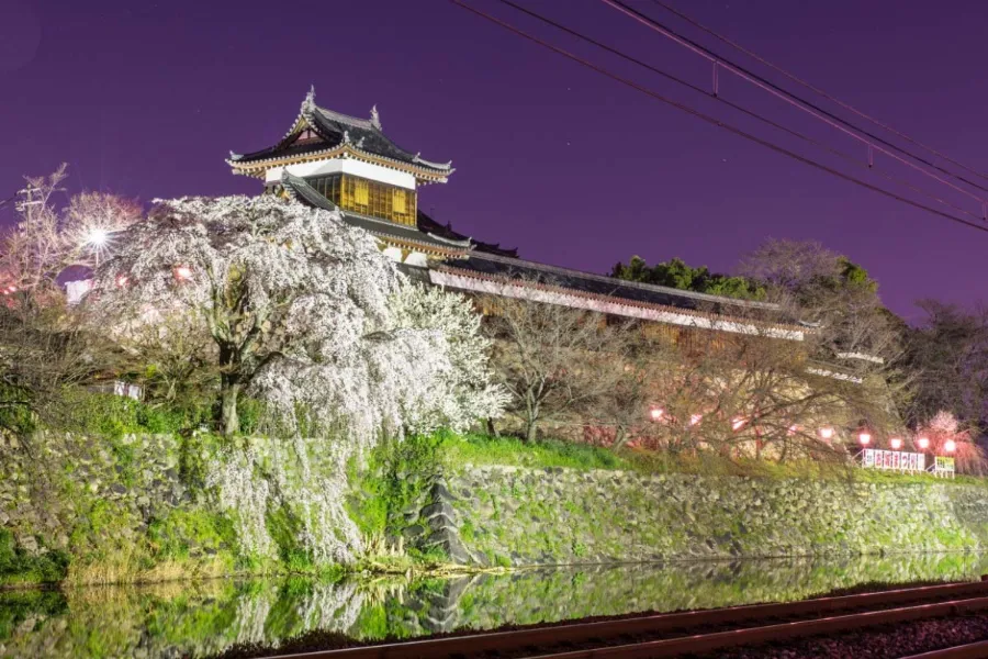 Koriyama Castle Ruins: Vẻ đẹp thiên nhiên của thành cổ Nara