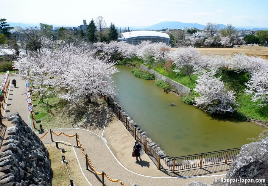 Koriyama Castle Ruins: Vẻ đẹp thiên nhiên của thành cổ Nara