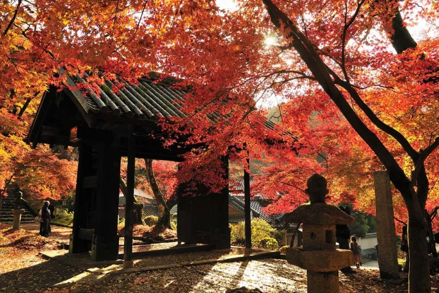 Koriyama Castle Ruins: Vẻ đẹp thiên nhiên của thành cổ Nara