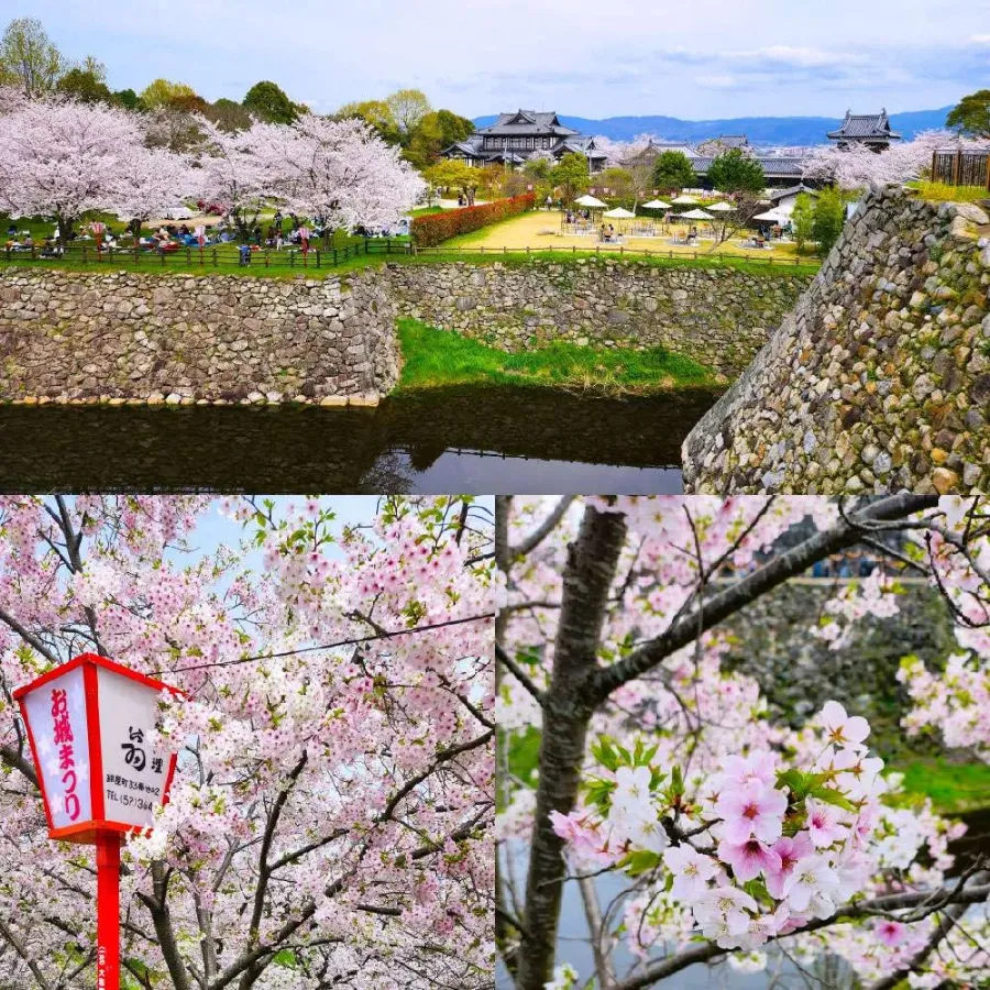 Koriyama Castle Ruins: Vẻ đẹp thiên nhiên của thành cổ Nara