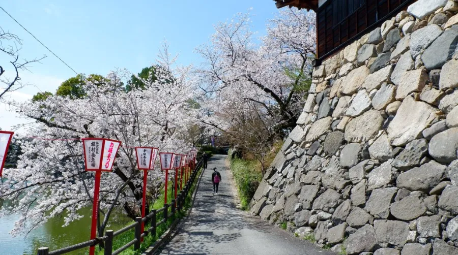 Koriyama Castle Ruins: Vẻ đẹp thiên nhiên của thành cổ Nara