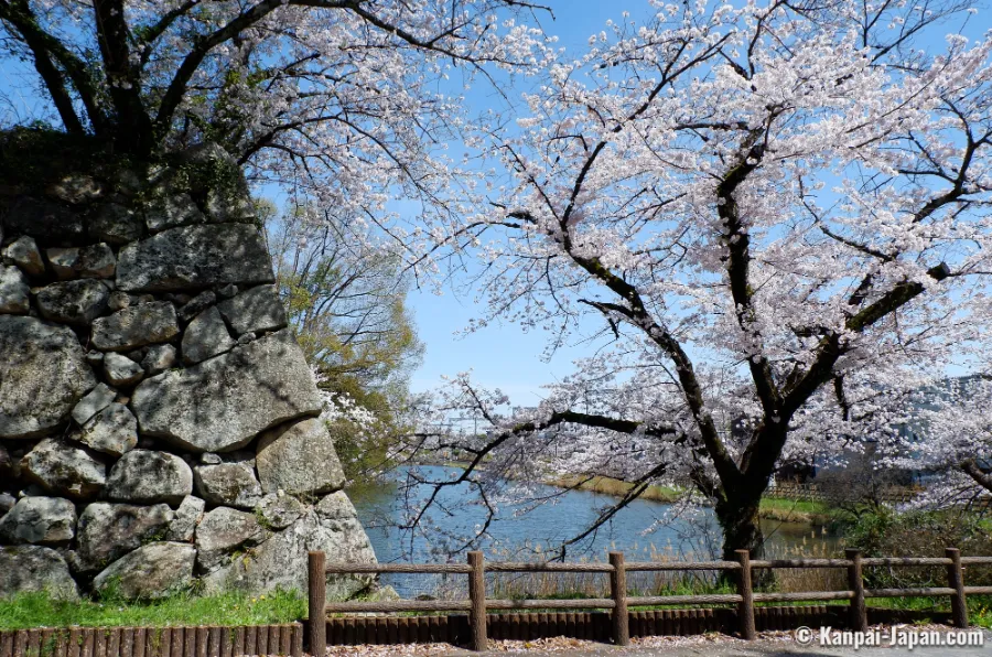 Koriyama Castle Ruins: Vẻ đẹp thiên nhiên của thành cổ Nara