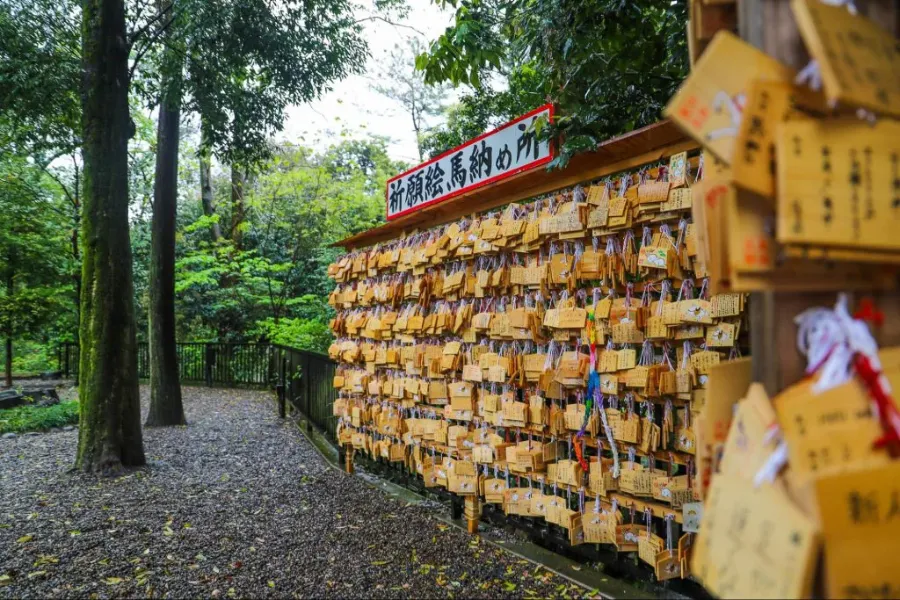 Musashi Ichinomiya Hikawa Jinja (Đền Hikawa) ở Saitama