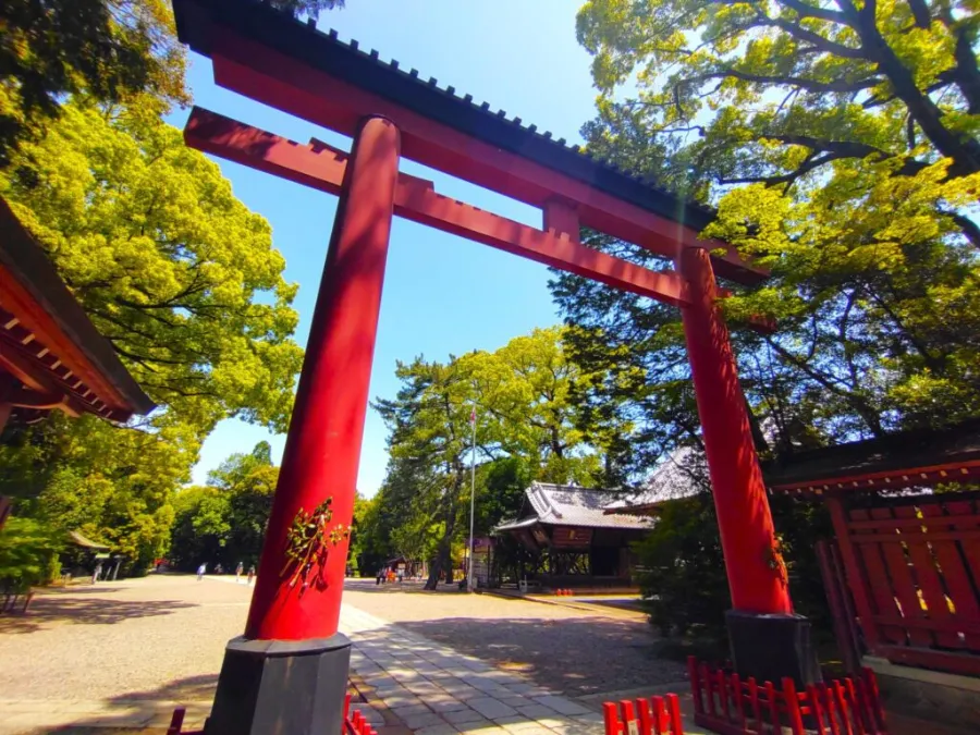 Musashi Ichinomiya Hikawa Jinja (Đền Hikawa) ở Saitama