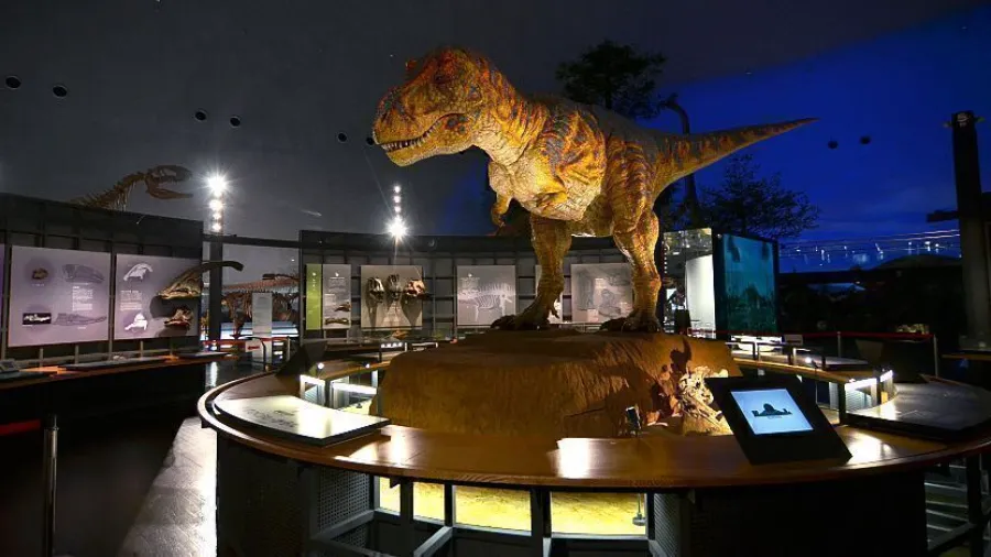 Nagasaki City Dinosaur Museum | Bảo tàng ở Nagasaki Nhật Bản