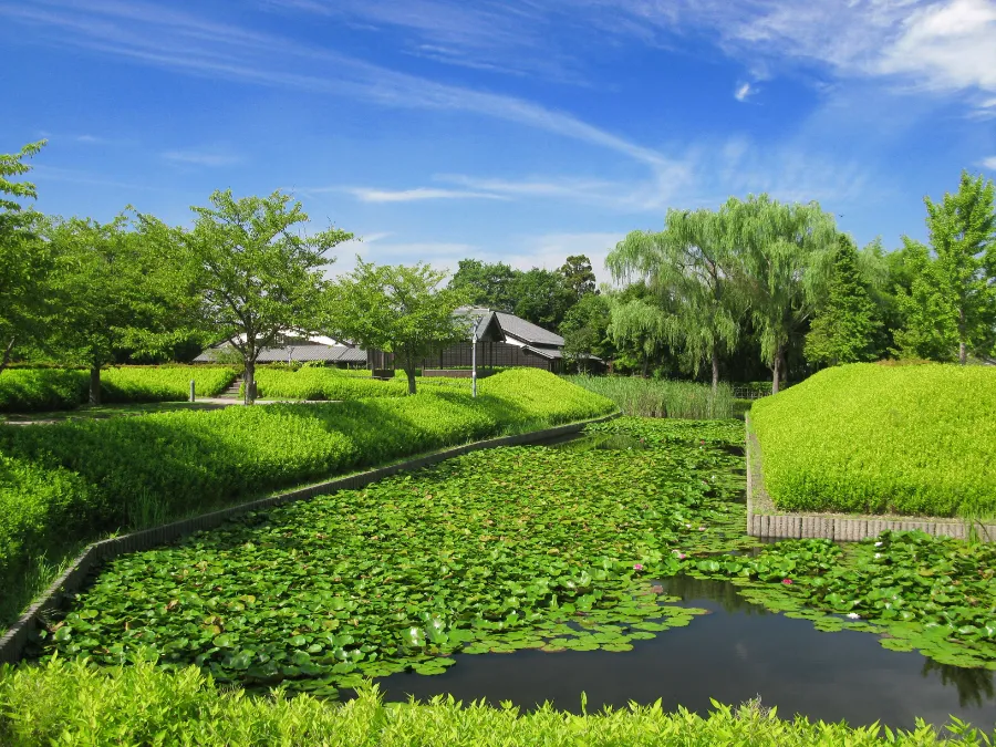 Nanbata Castle Park | Công viên ở Saitama, Nhật Bản