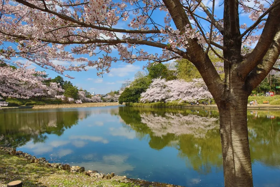 Omiya Second Park | Công viên ở Saitama, Nhật Bản