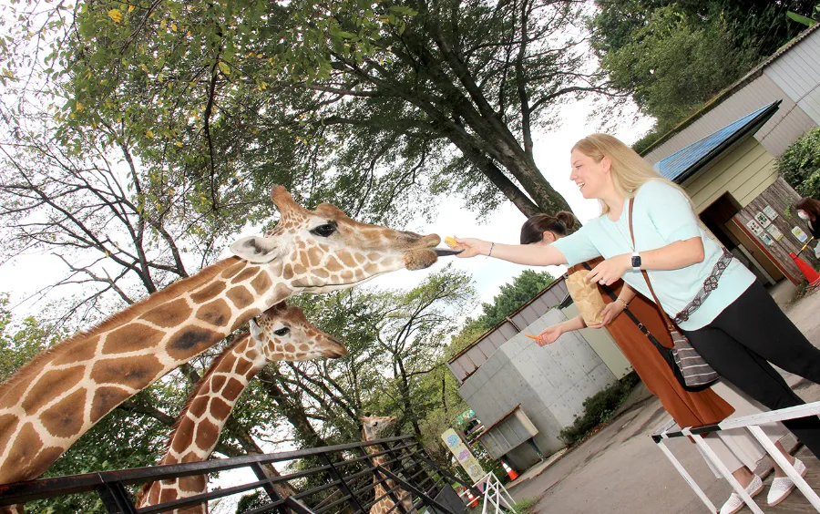 Omiya Park Zoo | Omiya Ward