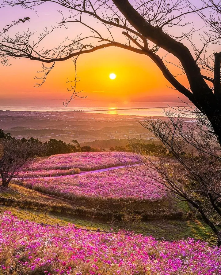 Shirakimine Plateau | Công viên ở Nagasaki Nhật Bản