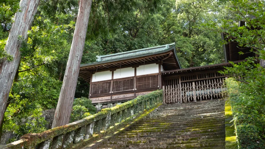 Suwa Shrine (Đền thờ Suwa Taisha) Nagasaki, Nhật Bản