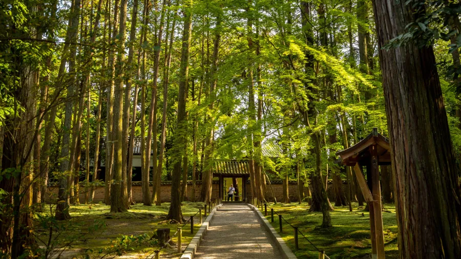 Toshodaiji Temple | Đền chùa ở Nara Nhật Bản