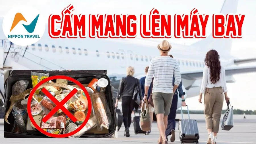 [Hỏi Đáp] Có được mang đồ ăn lên máy bay không?