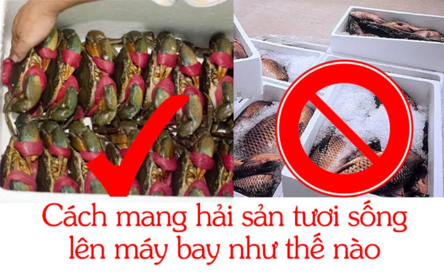 [Hỏi Đáp] Có được mang đồ ăn lên máy bay không?