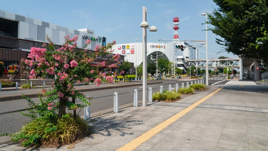 Cocoon City | Omiya Ward