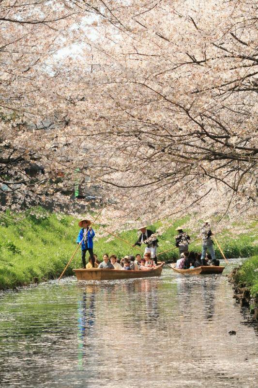 Hikawa Park | Kita Ward